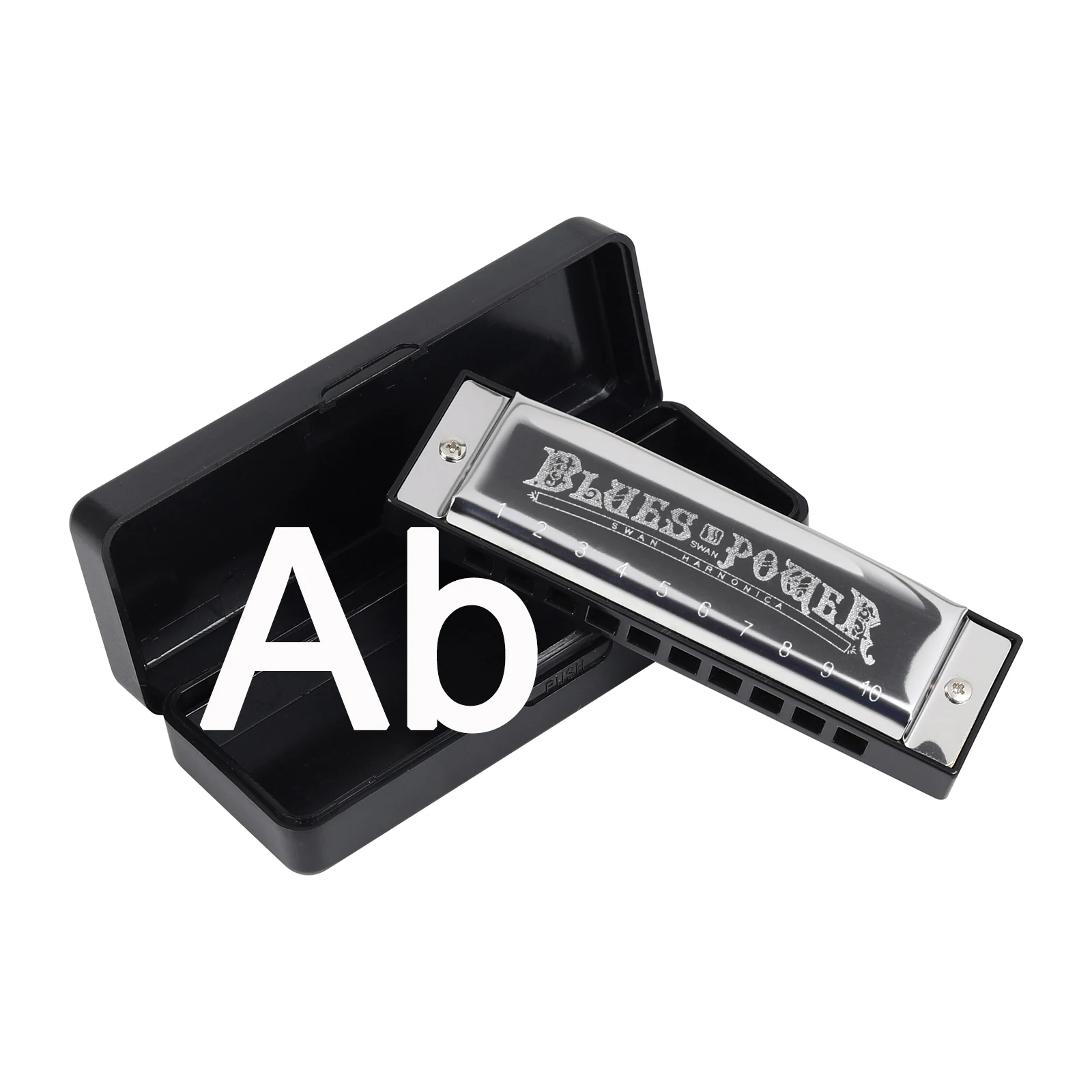 Diatonic Blues Harmonica with Case for Students