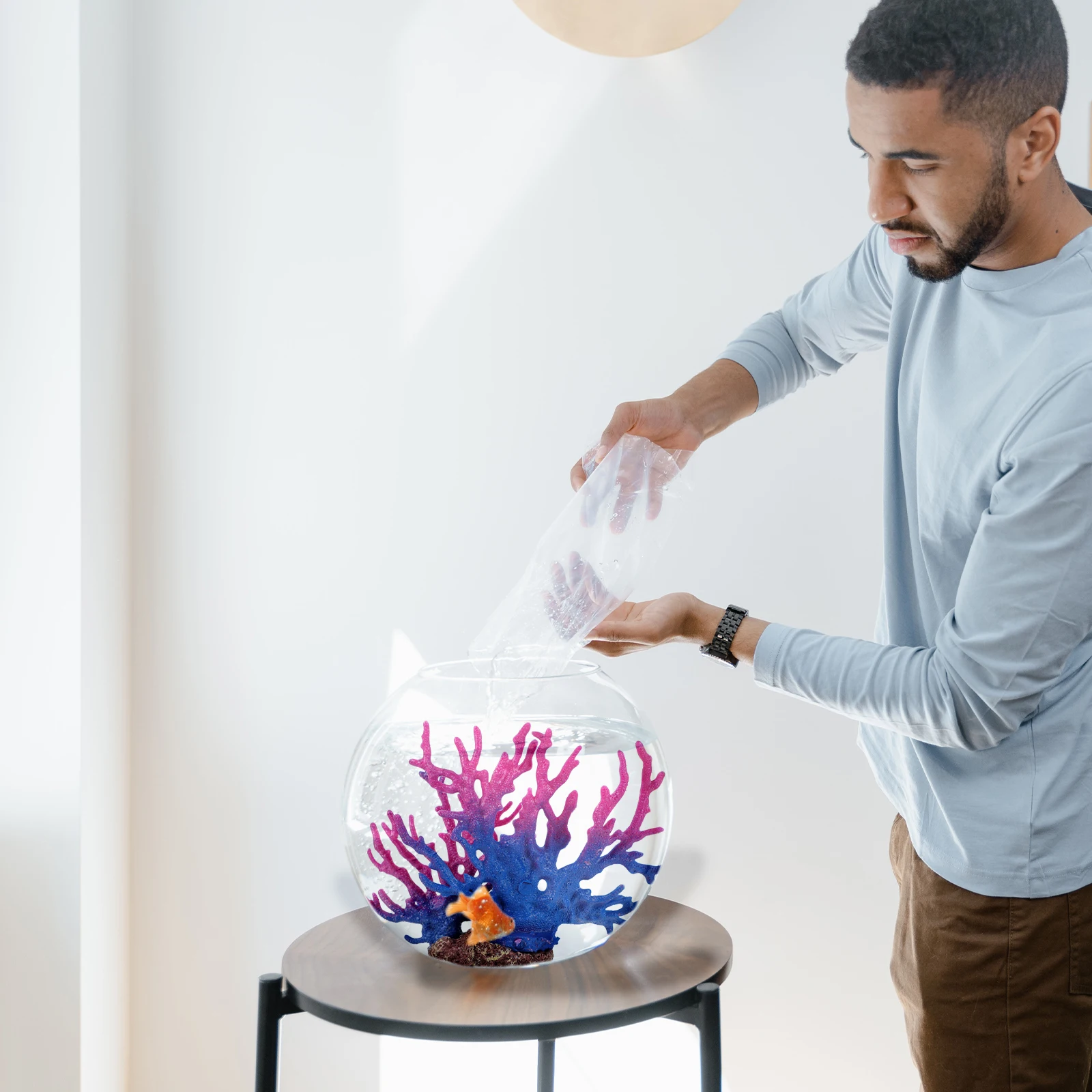 

Aqua Simulated Coral Ornaments Corals for Aquarium Small Fish Tank Landscaping Plants Faux