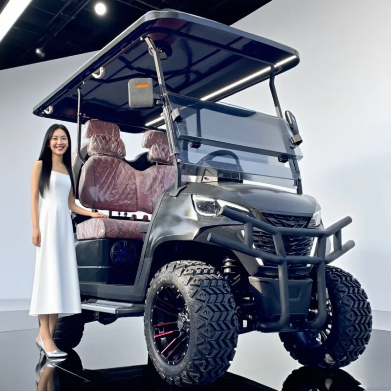 Solar 48V/72V Lithium Battery Golf Cart 2/4 Seat Electric Vehicle Mini Off-Road Hunting Golf Cart Suitable For Various Places