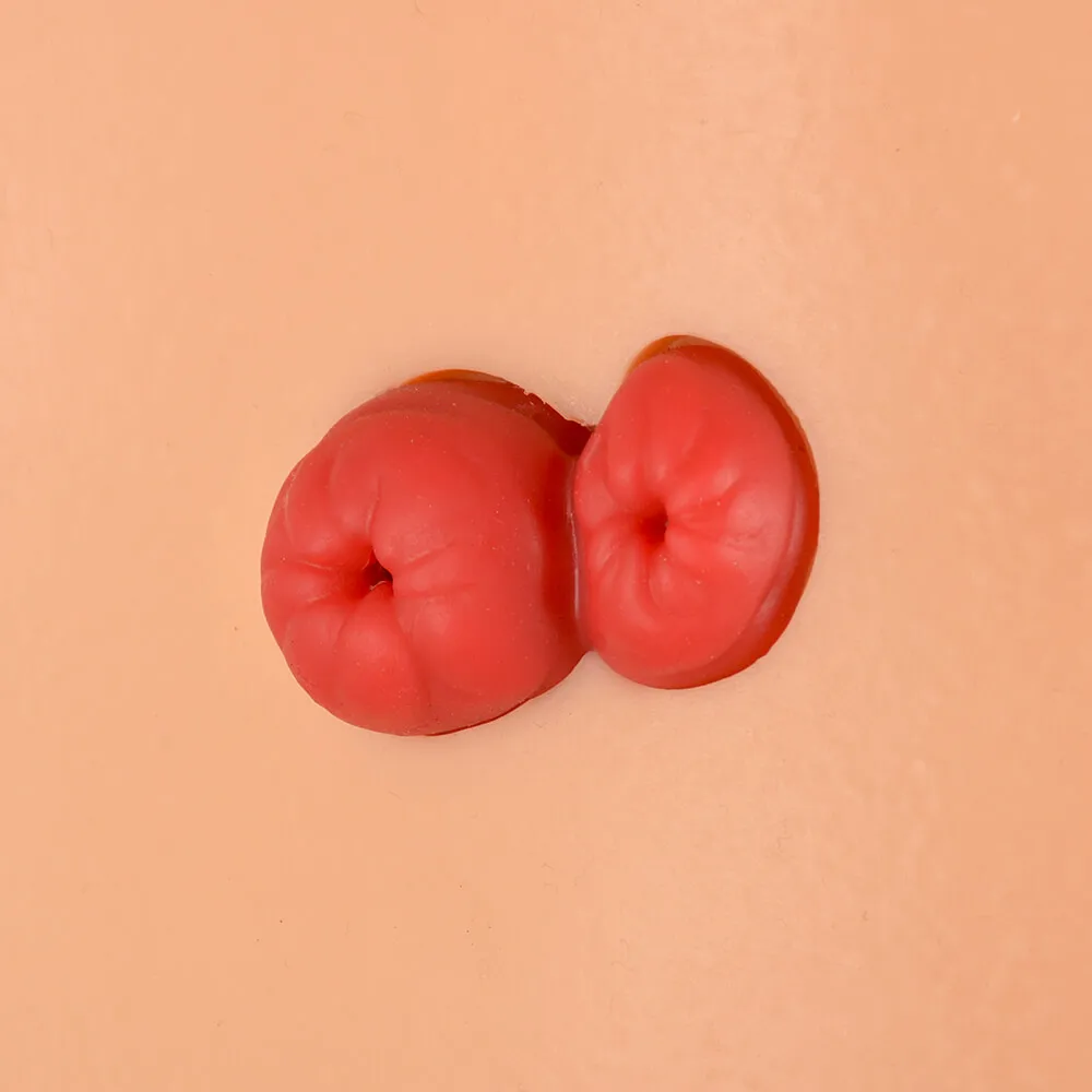 Ostomy Care Simulator with 4 Stoma Types & Display Bracket