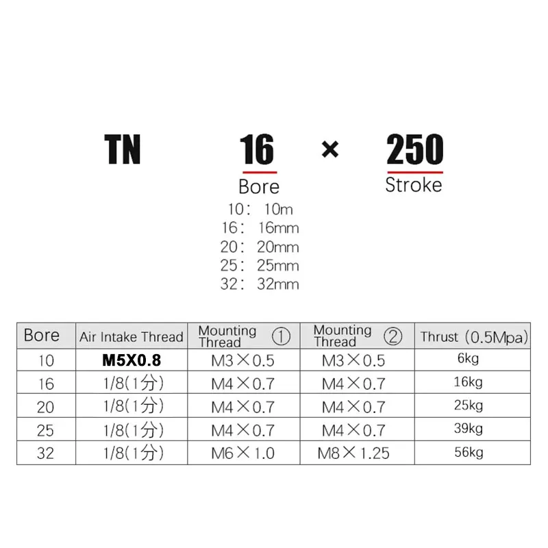 Pneuamtic Double Rod Pneumatic Piston Air Cylinder TN10x300 16x200 20x400 Long Stroke 200mm To 500mm image 5
