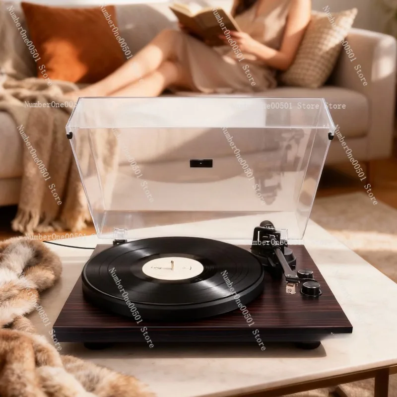 

Профессиональный Hi-Fi проигрыватель виниловых пластинок TTMK2 для дома