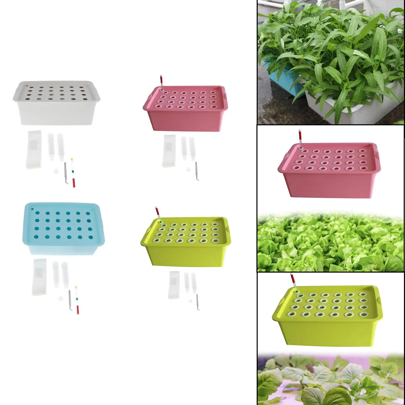 Innovative Indoor Hydroponic Planting Solution for Urban Spaces