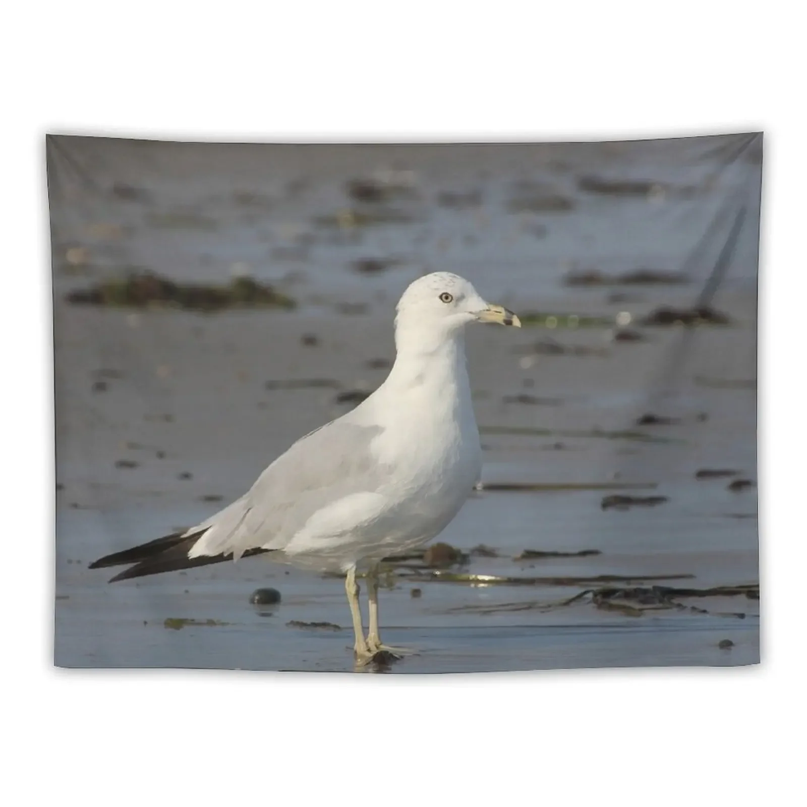 

Gansett Gull Tapestry For Bedroom Wall Hanging Wall Decoration For Rooms Home Decorations Tapestry