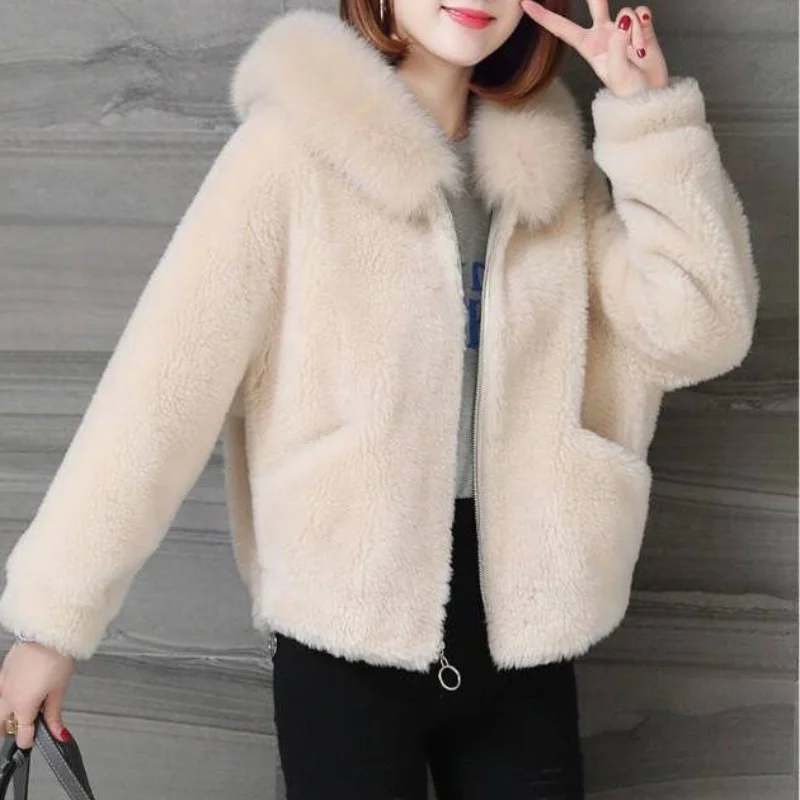 Imitation Fox Plush Jacket Female Short Outerwear Clothing Winter Coat 2021 Winter Women Fashion Casual Jackets Faux Fur Coats