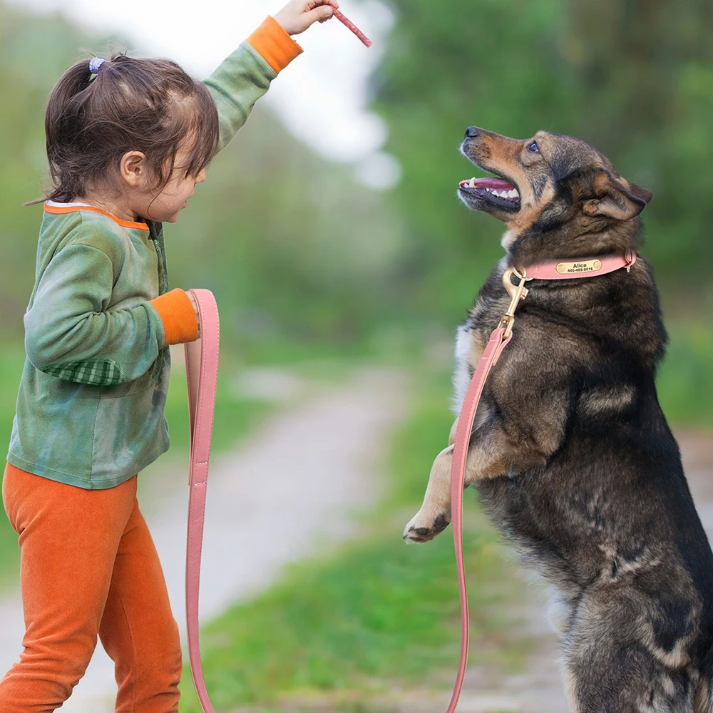 Trela de couro PU macia para animais de estimação, alça acolchoada, chumbo para cães, caminhada e treinamento, pastor alemão, Golden Retriever, 120cm