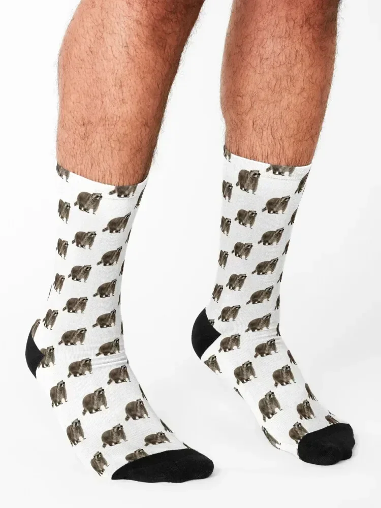 Rad Racoon Meias curtas antiderrapantes para academia Designer Man Socks femininas