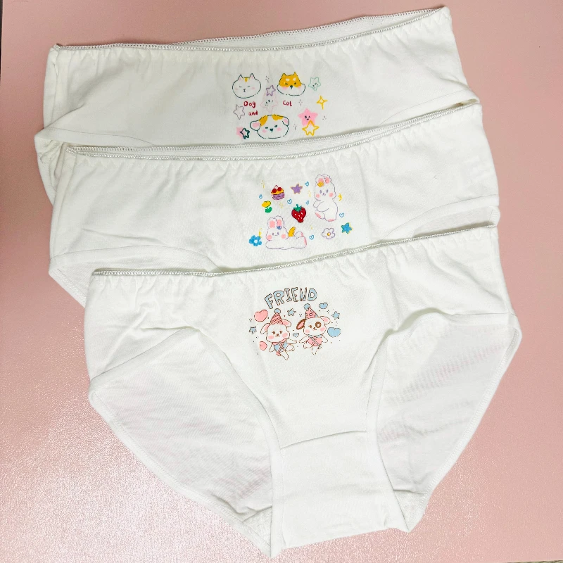 Clearance Sale of Random Underwear Pantie Briefs