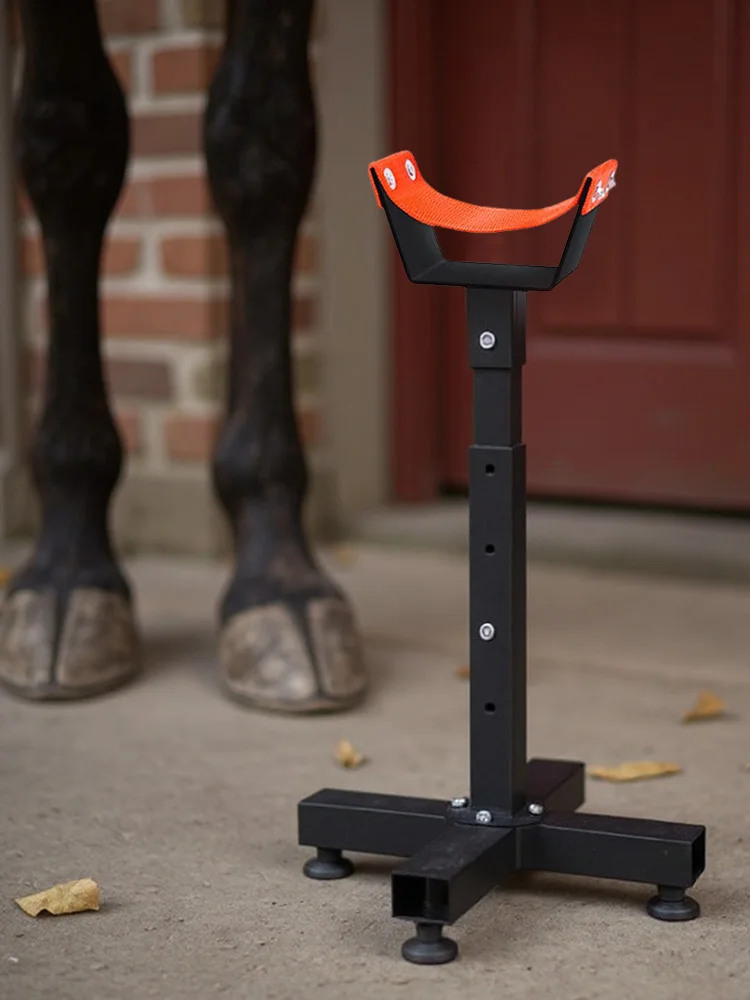 حامل Farrier قابل للتعديل، حامل حافر معدني، حامل حافر الحصان Farrier لأدوات العناية بحافر المقبض