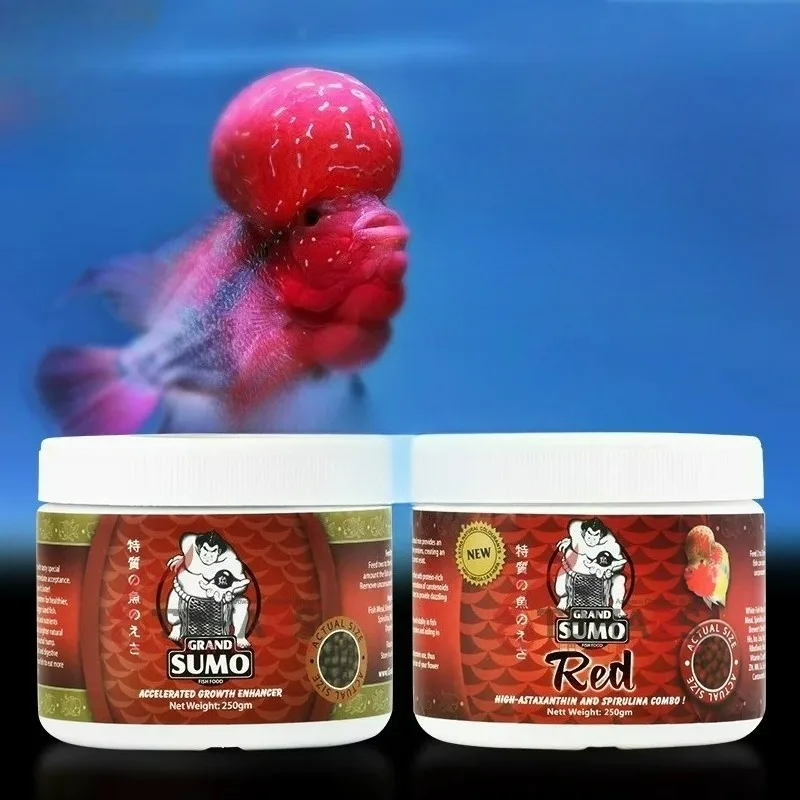 250g Alimento Especial para Peixe Flowerhorn Sumo, para Crescimento da Cabeça e Realce da Cor em Cichlídeos Golden Fortune Flowerhorn, Ração para Peixes de Aquário
