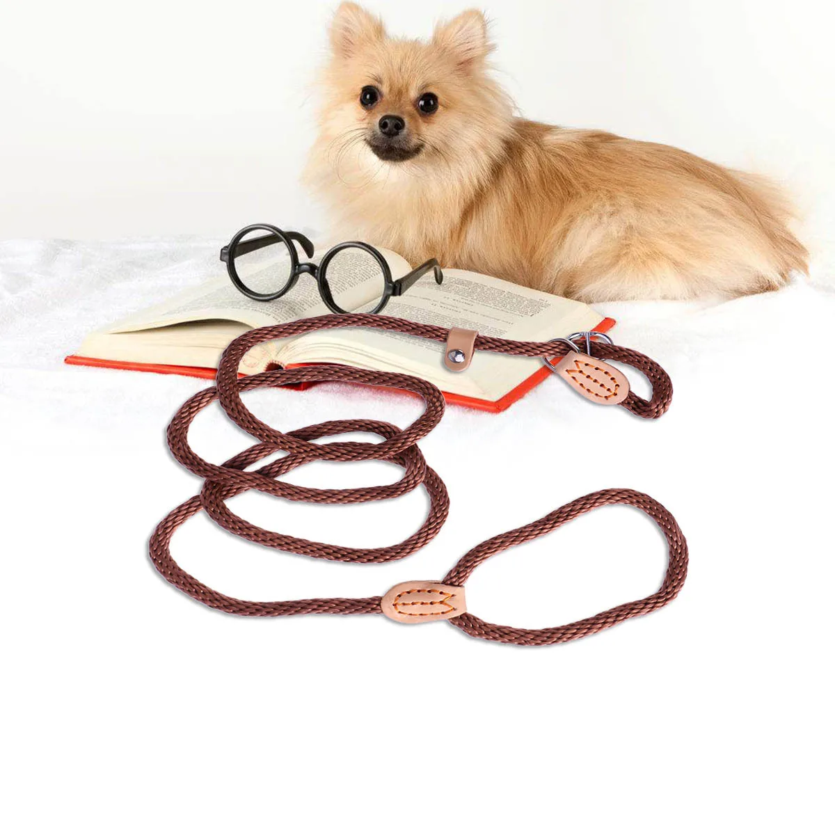 

Pet Heavy Dog Pet Training Leash Training Rope For Slid Lead Medium Large Dogs Durable Slid Lead For Pets