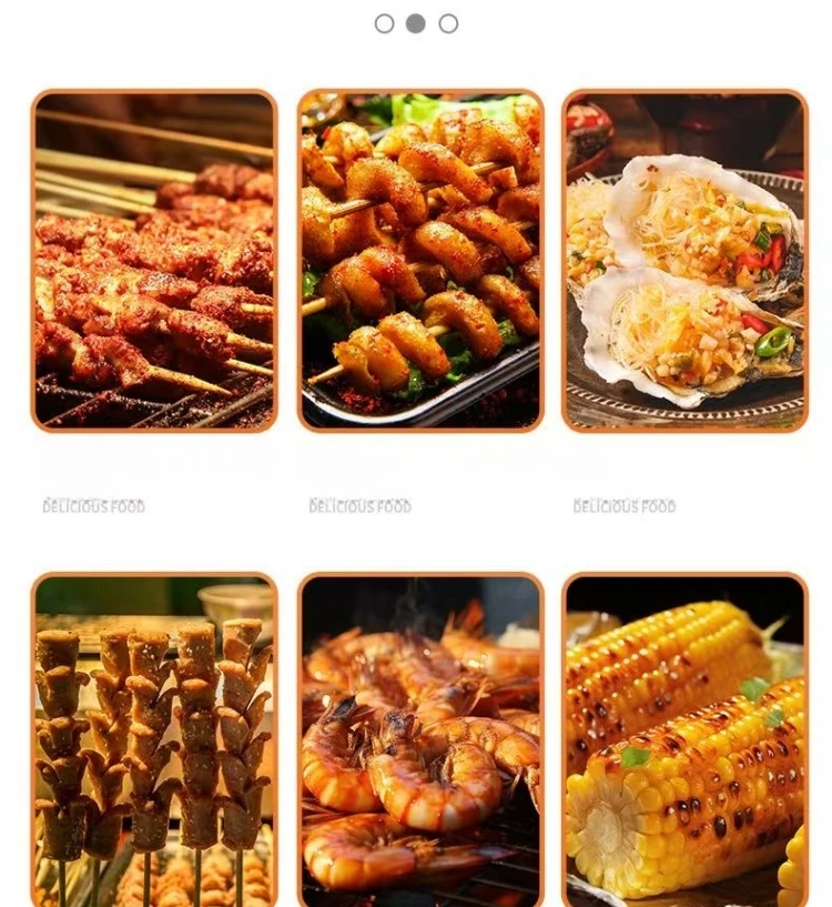 About Convenient Camping Grill Stainless Steel Grill Outdoor Grill