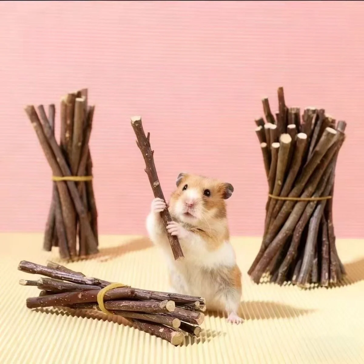 

Принадлежности для грызения для хомяков, кроликов, золотистых шиншилл, морских свинок: яблочные ветки, деревянные палочки для грызения.