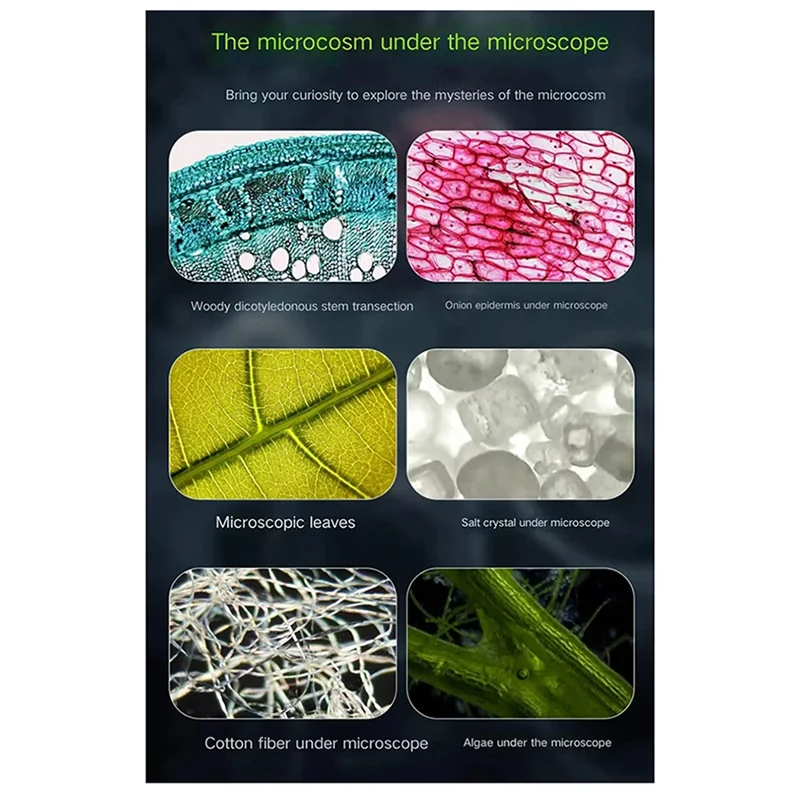 Advanced Pocket Microscope Children's Handheld Microscope Forstudents Toobserve Microorganisms