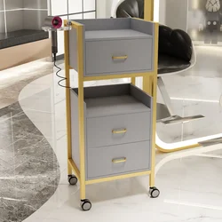 Manicure Cart Spa Furniture Aesthetic Roulette Storage Trolley Portable Aesthetics Aluminum Beauty Salon Tray Stations Lash Hair