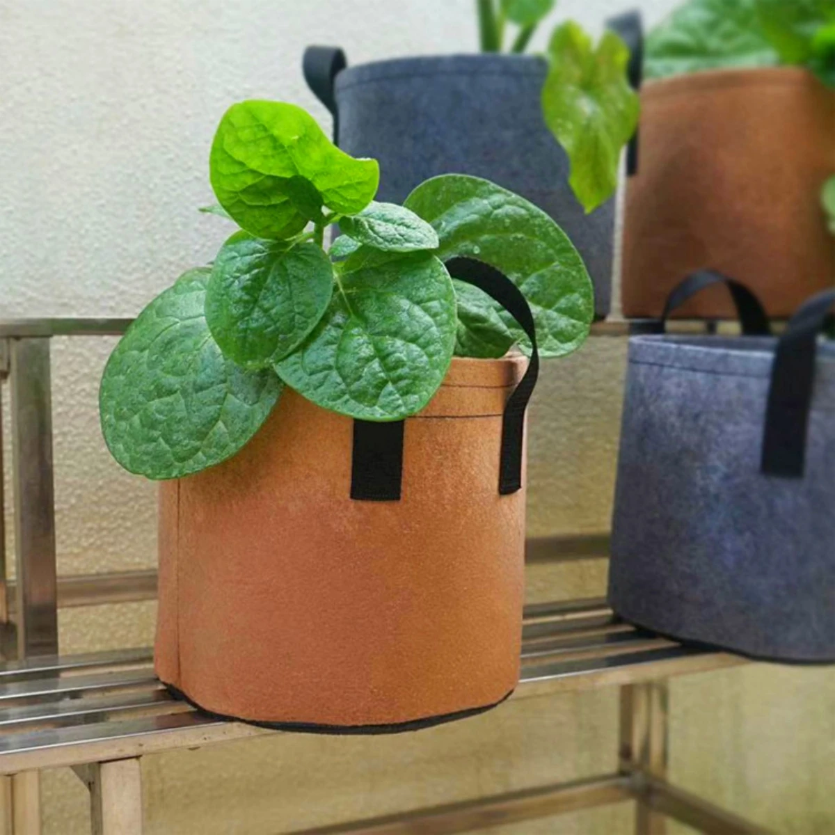 Garden Grow Bag Felt Plant Growing Pot Flower Vegetable Fruit Herb Fabric Container Indoor Outdoor Planting Tools 2/5/10 Gallon