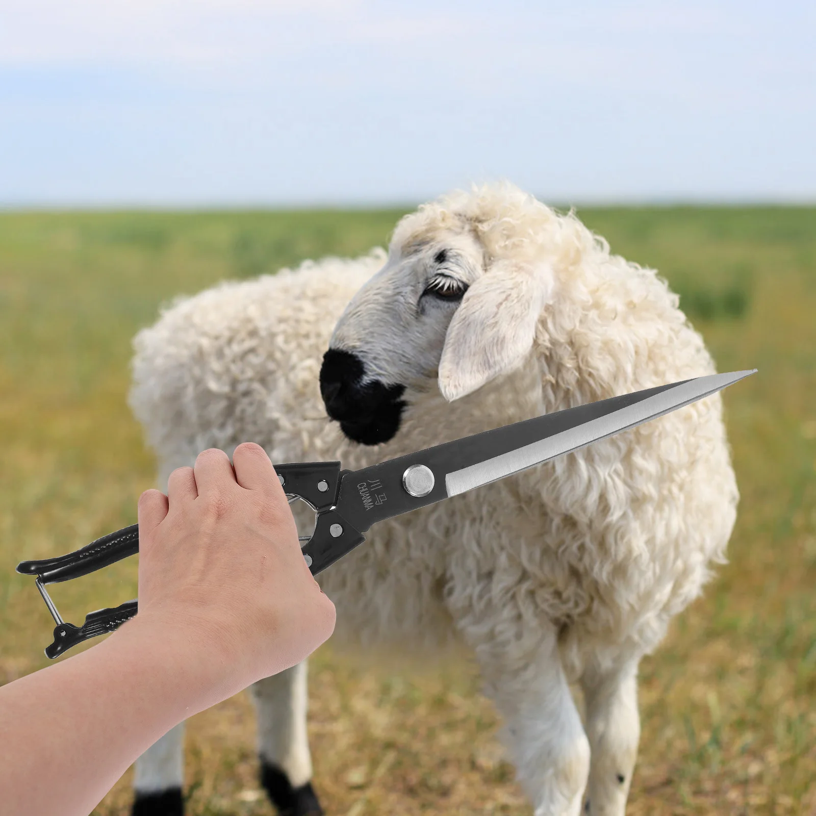 

1Set Manual Sheep Shears Carbon Steel Ergonomic Handle Farm Animal Hair Clipper Sheep Shearing Scissor Metal Wool Cutting Tool