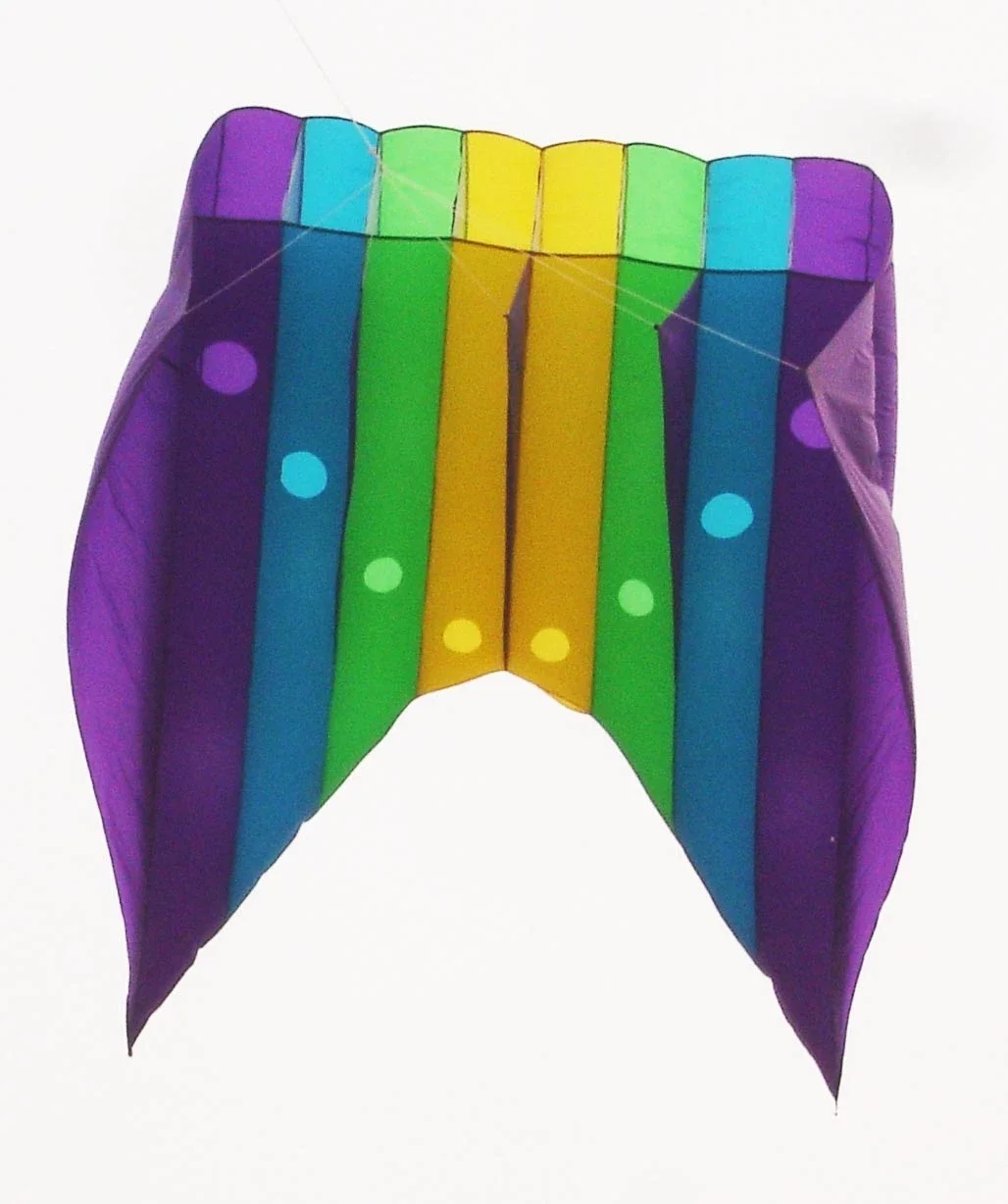XSH LED Night Kite