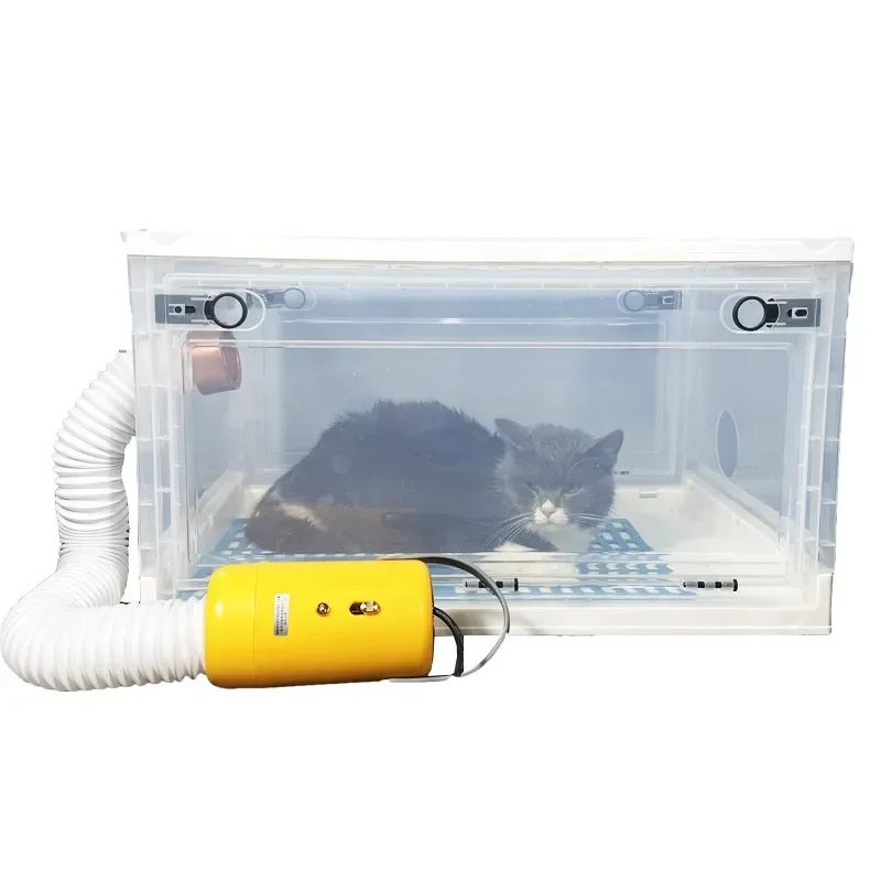 Household Small Silent Dog Air Dryer Grooming Pet Profession Drying Cabinet Cat Blower Dryer Animal Bathing Dry Room Products