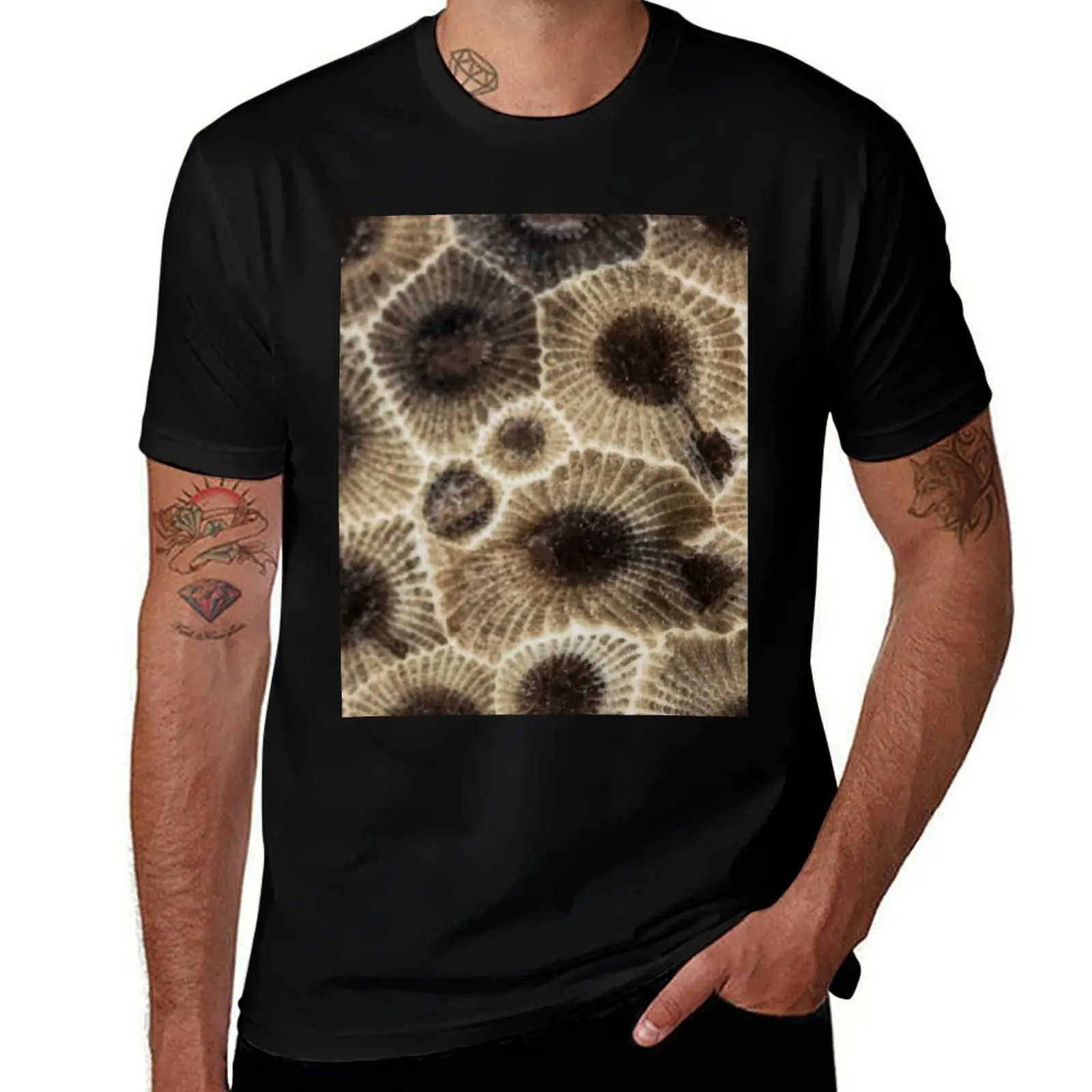 

Petoskey Stone T-Shirt funny t shirts man anime tshirt cotton t shirts high quality T-Shirt