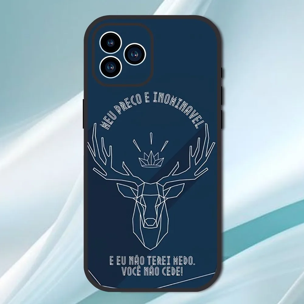 Throne Of Glass Phone Case For iPhone 13 12 11 14 15 Pro XS Max XR X 8 7 6S 6 Plus SE 2020 Soft Back case