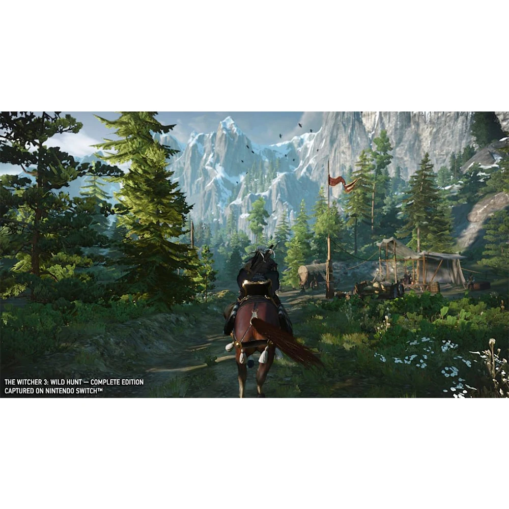 Ofertas de juego de Nintendo Switch-The Witcher 3 Wild Hunt edición completa (2 DLC incluidos)-cartucho físico de juegos