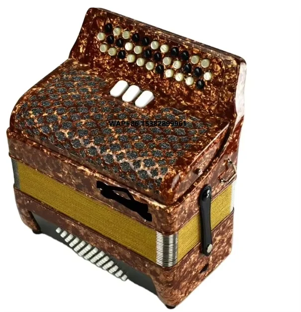 

Professional Piano Accordion 34-Key 48-Bass Button Type B/C System Diatonic & Chromatic Bayan Accordion Made of Wood