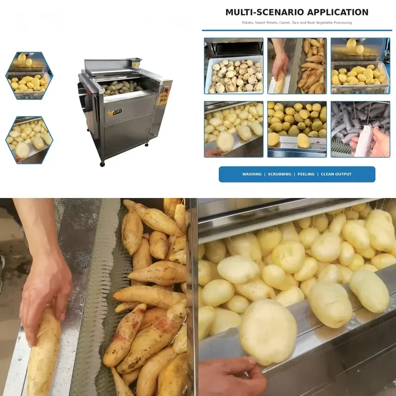 for Low Breakage Rate Labor Saving Electric Potato and Fruit Washing Machine Peeler Large Capacity Vegetable Washer Suitable