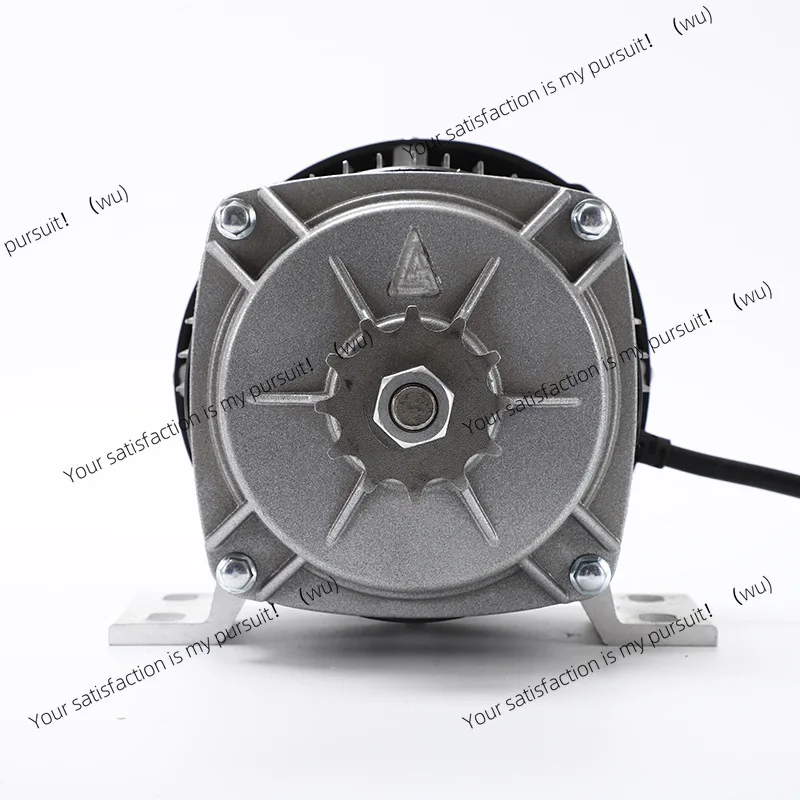 24V 500W DC brushless motor, permanent magnet cargo electric tricycle motor