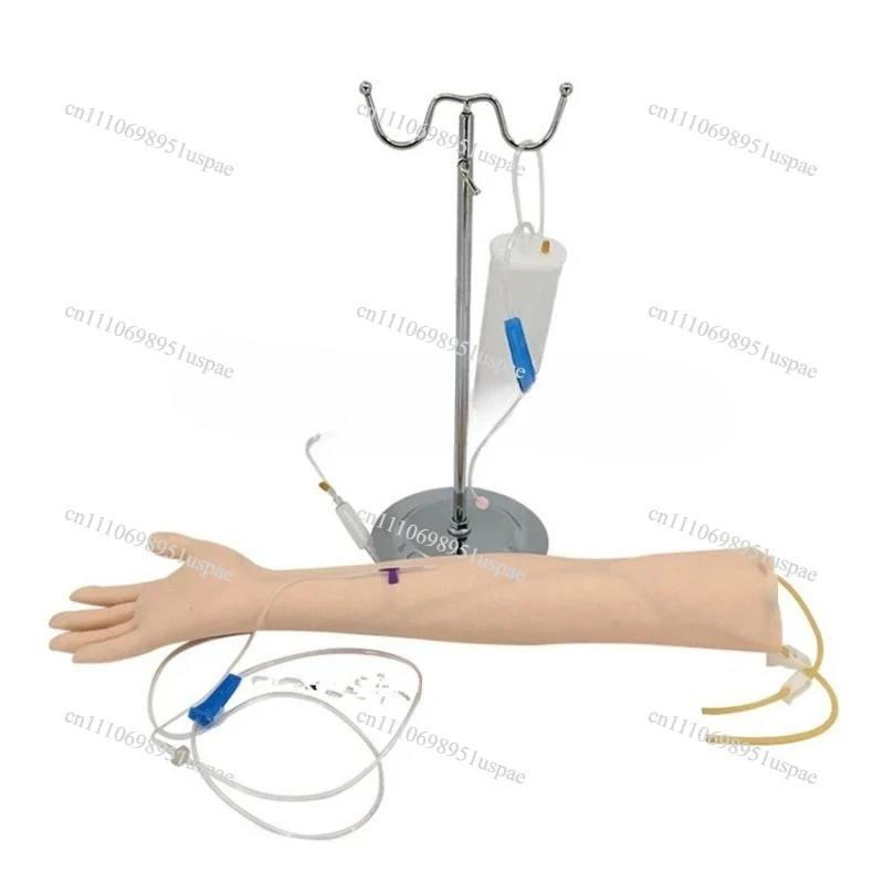 Advanced arm Anatomical Phlebotomy Venipuncture Practice Model anatomyInjection practice Medical Simulator Nurse Training kit