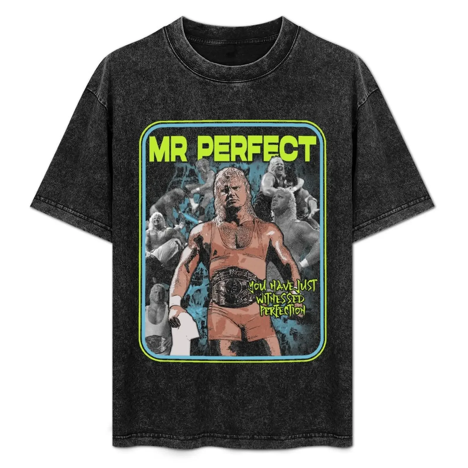 

Mr Perfect - Absolute Perfection T-Shirt funny costumes croswit shirt man compression shirt men