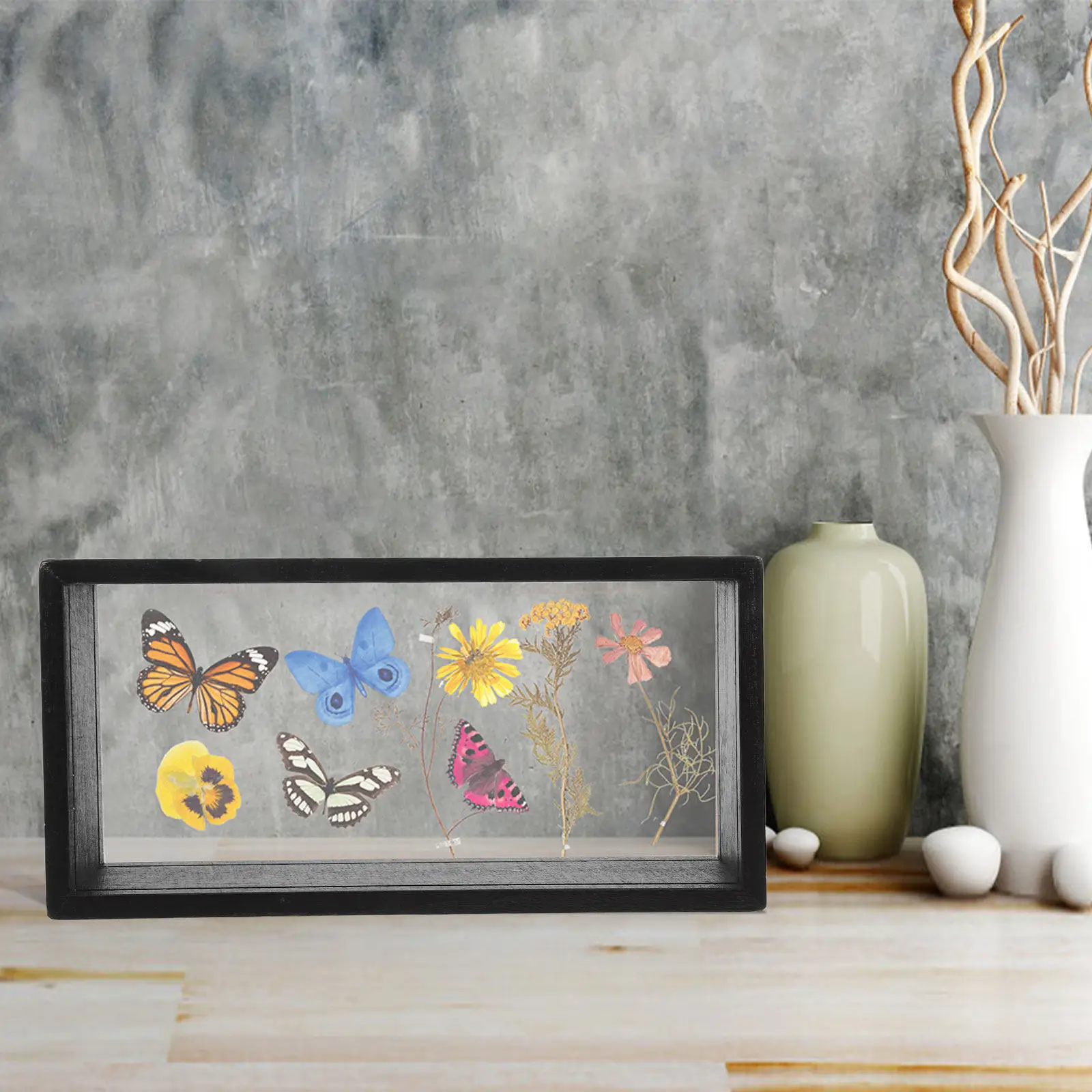 Butterfly Acrylic Floating Display Case, Specimen Box