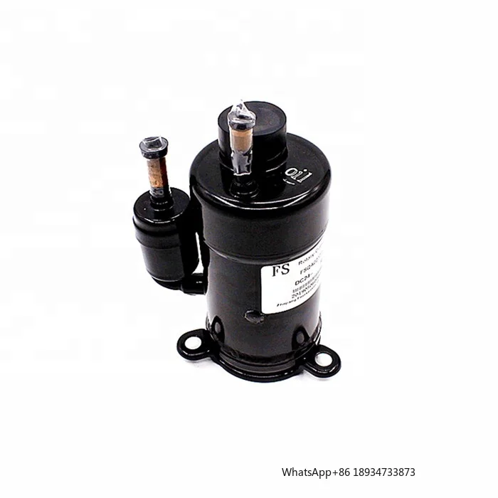 R290 DC 24 V 600 W Twin Pump Inverter Rotary AC Kompressor für Mini-Klimaanlage Chiller Micro Cooling System