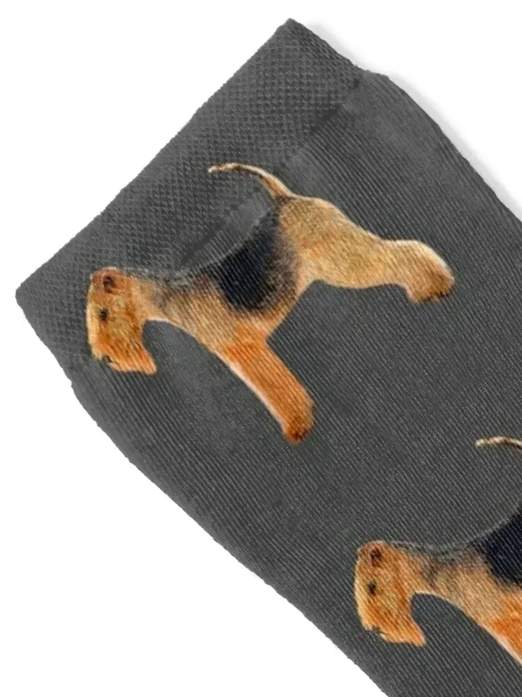 Lakeland Terrier Socks aesthetic Wholesale Women's Socks Men's