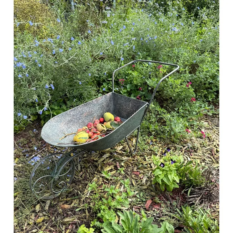 Garden Grocery Order Can Push and Pull Float Plant Planting