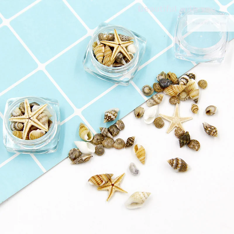 

NewShell Nail Accessories Irregular Natural Conch Nail Accessories Wearing Armor Jewelry Decoration Material Package DIY