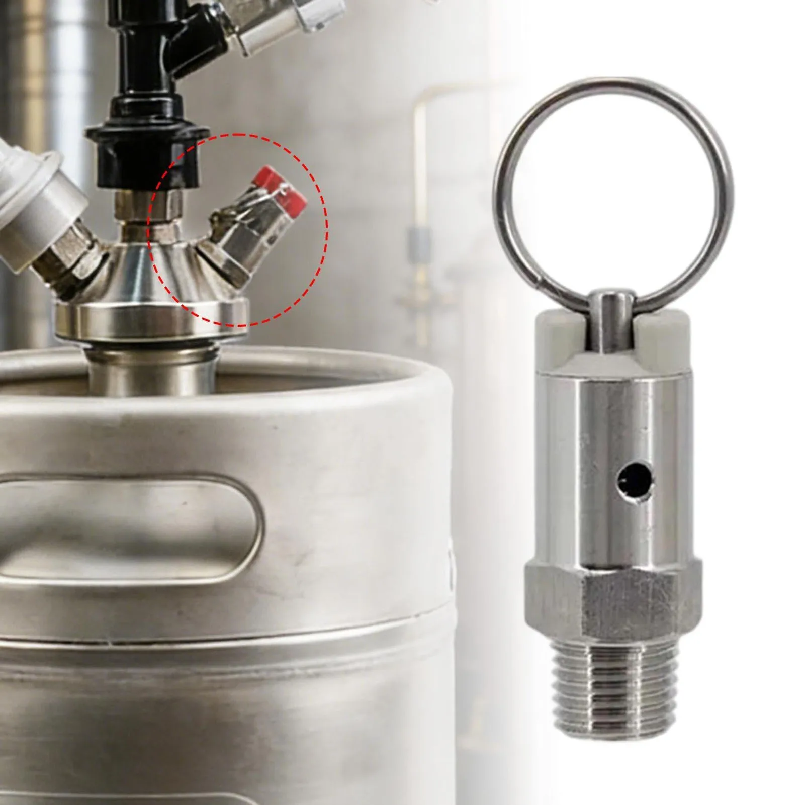 Pressure Relief Valve 1/4in Male NPT Thread Stainless Steel Air Compressor Check Valve for Beer Kegs Air Compressor Check Valve