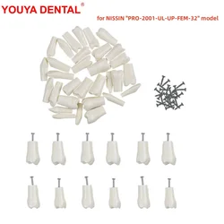 Dentes De Substituição De Odontologia, Modelo Dental Para Prática De Treinamento, Estudo De Ensino, Compatível Com Nissan Pro-2001-UL-UP-FEM-32, 5Pcs