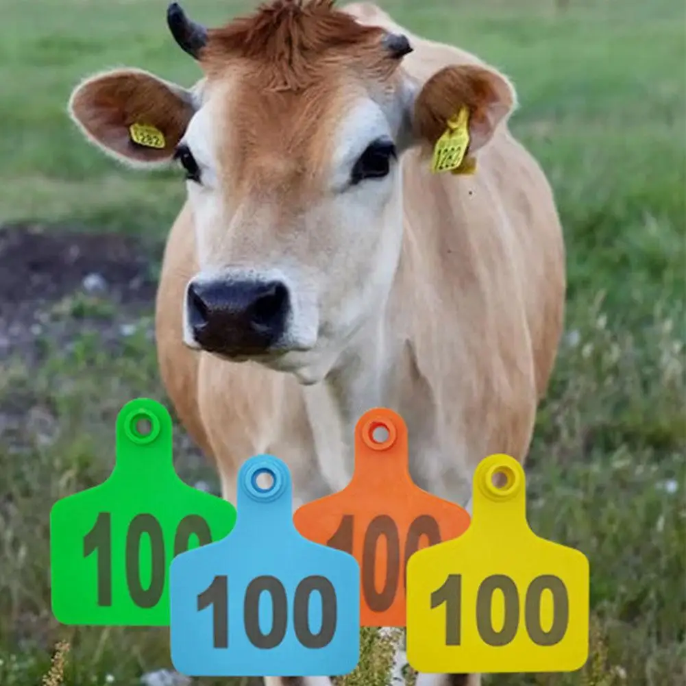 

100 шт., ушные бирки для крупного рогатого скота, 1-100 букв, идентификационные бирки для разведения, фермы, маркировки для крупного рогатого скота, ушные бирки для домашнего скота