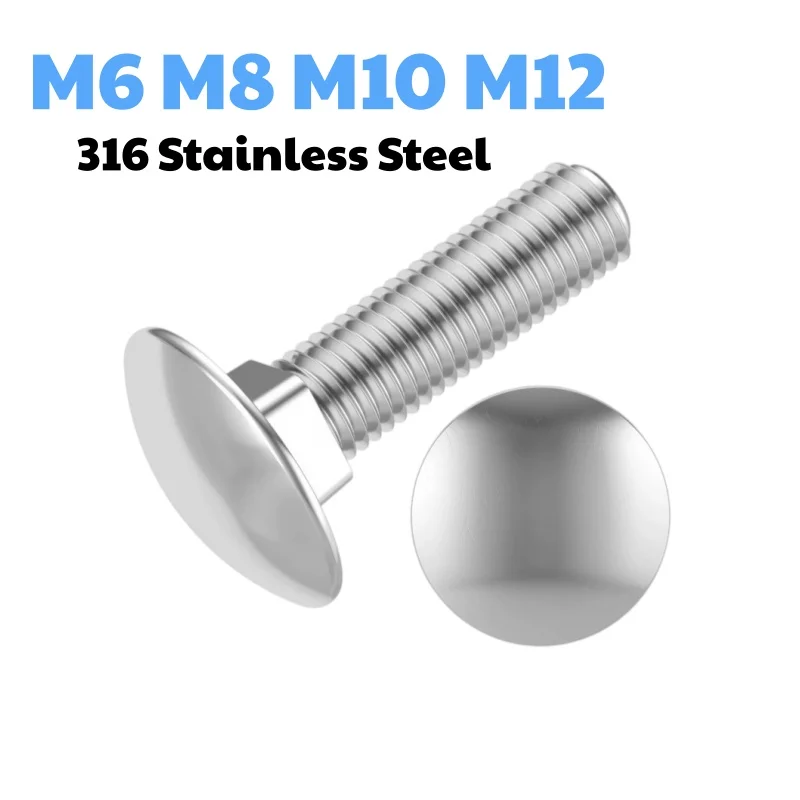 M6 M8 M10 M12 316 Stainless Steel Big Head Carriage Bolt Round Head Square Neck Screw