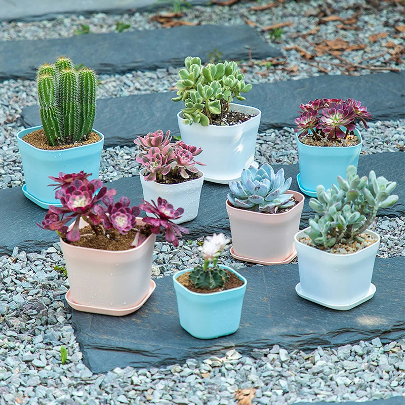 5~20Pcs Small Square Plastic Flowerpot Succulent Plant Flower Nursery Pot Flowerpot Seed Storage Pot Container Garden Decoration