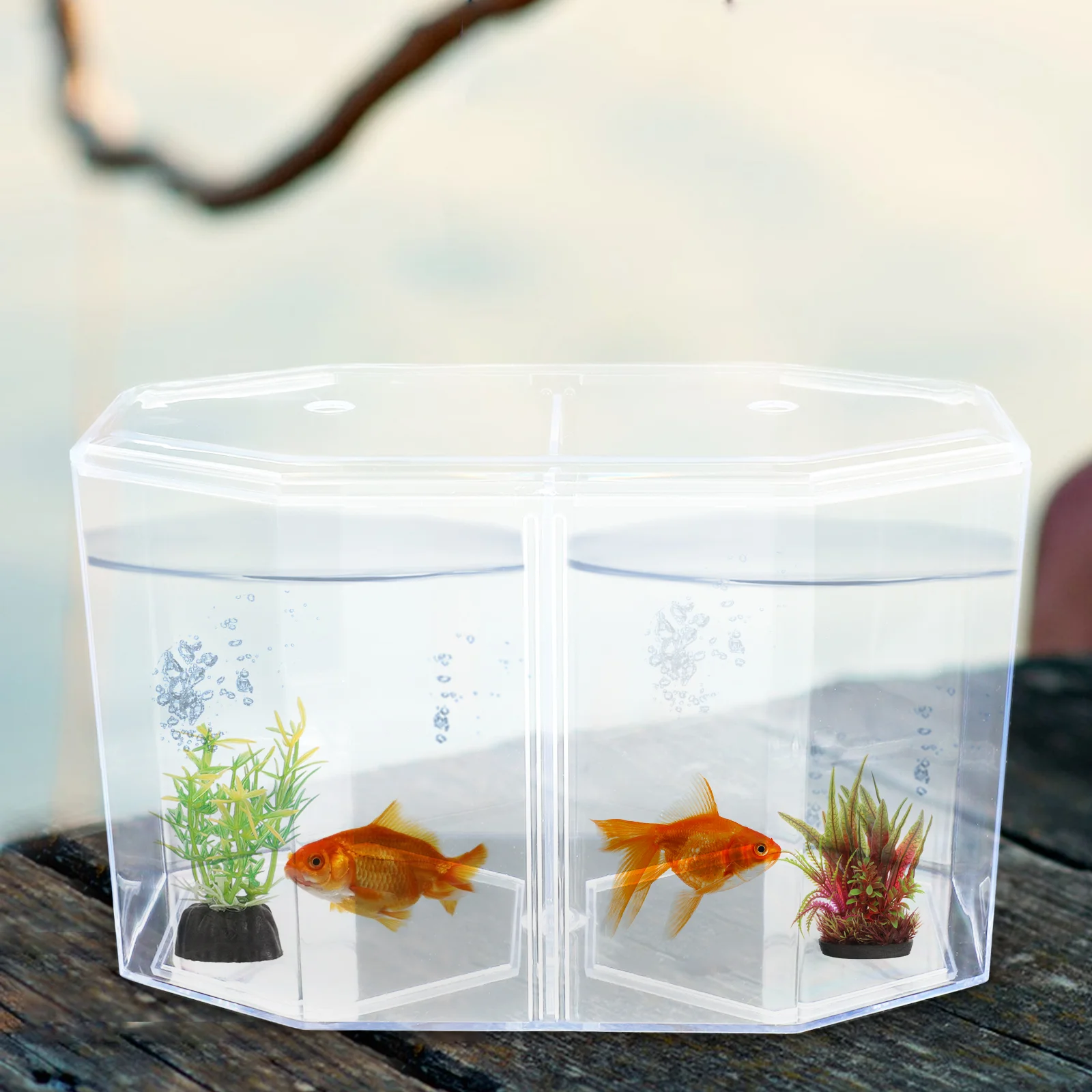 Octagonal Fish Tank Aquarium Betta & Bowls Guppy Hatchery Box Incubator Tanks Various