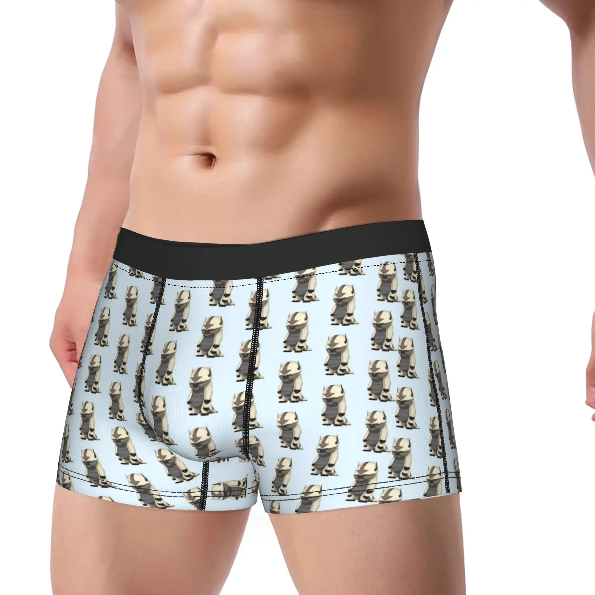 Standing Appa Avatars Airbender Trunk  3D Pouch Underwear Hot Sale Pattern Boxer Brief Breathable Men Panties Plus Size