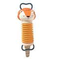 orange lion 1