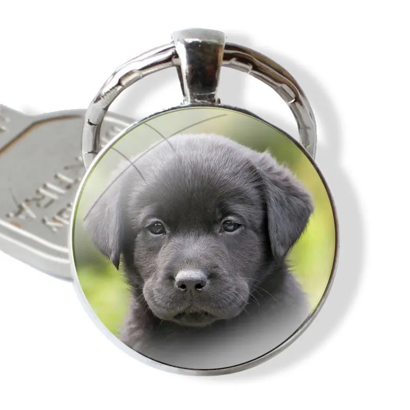 Lab Labrador puppy Dog Glass Metal Pendant Key Chain Classic Men Women Key Ring Accessories Jewelry Gifts