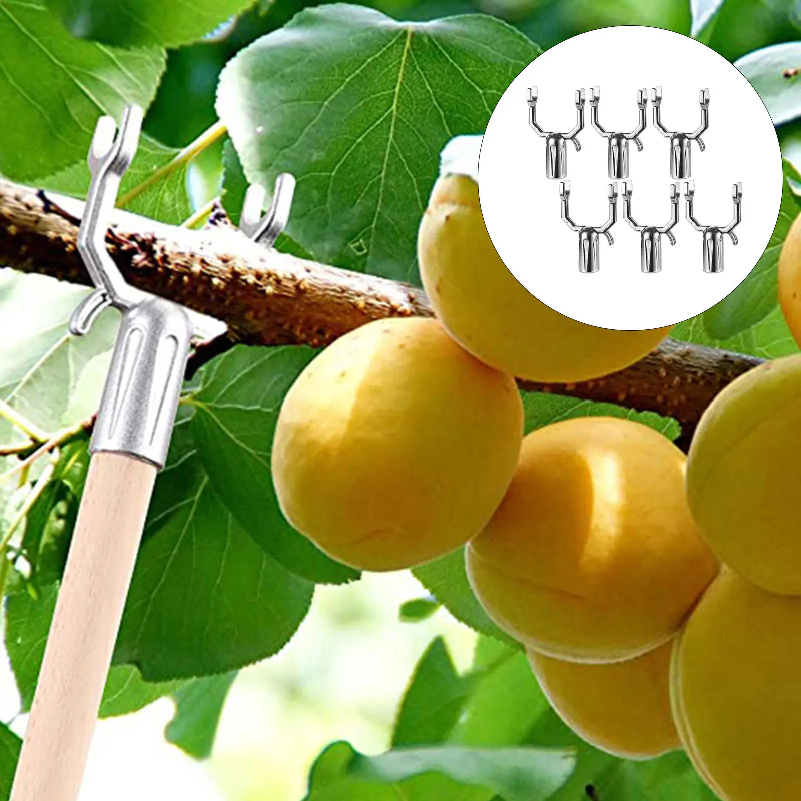 6Pcs Aluminum Alloy Fruit Tree Branch Supports Plant Branch Support Forks Multi-Functional Tree Brace Tools for Garden Trees