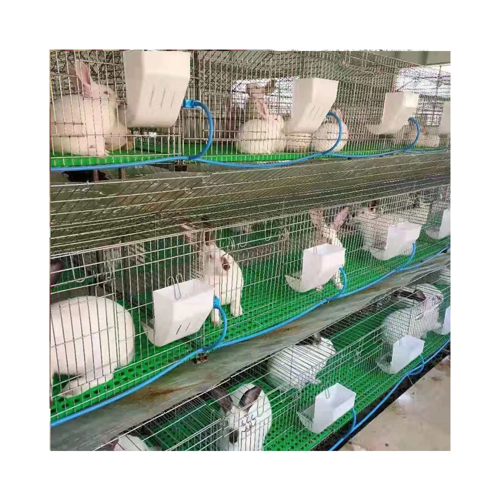 12-Door Galvanized Low Carbon Steel Rabbit Cage for Rabbit Breeding Farming New & Used Condition Animal Cages Automatic Features