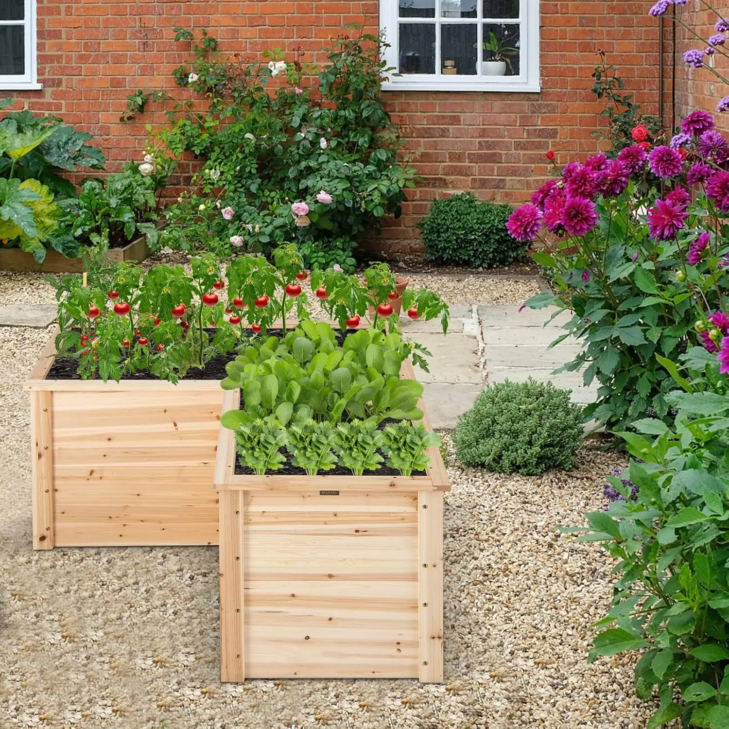 Outdoor Solid Wood Raised Gard - Raised Garden Bed 评论和价格