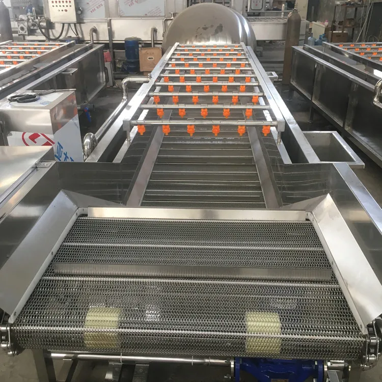 Commercial Conveyor Belt Bubble Pepper Lettuce Magic Green Onion Fruit And Vegetable Wash Machine Cleaner Device