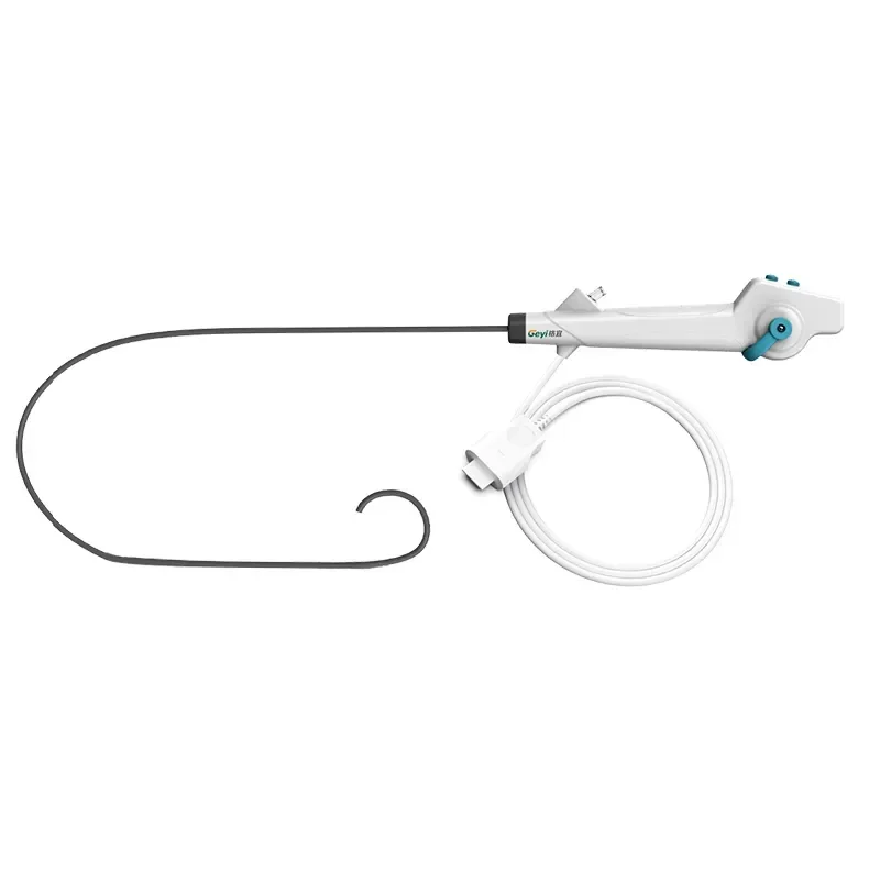 Geyi Disposable Por…